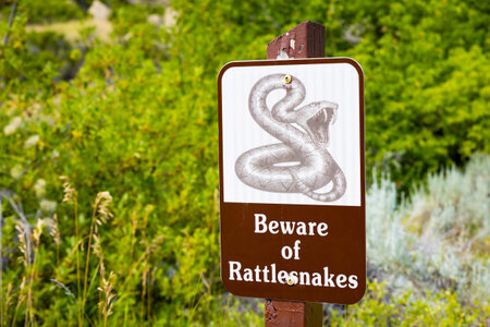A warning sign in an outdoor setting, alerting people to the presence of rattlesnakesの写真素材