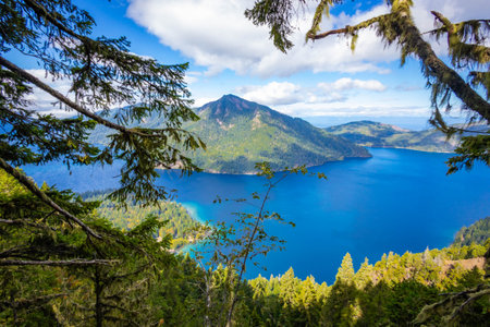 A stunning panoramic view captures the pristine Lake Crescent stretching out below, seen from the...