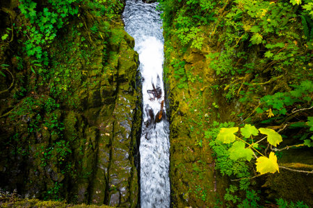A scenic view captures Sol Duc Falls powerfully flowing and carving through a deep, rugged rock...