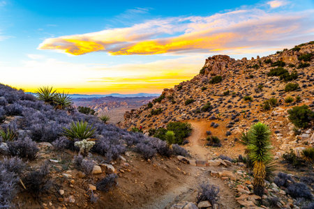 Mountain ranges stretch across the desert landscape during golden sunset hour from the top of Ryan...