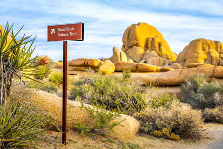 Trail sign marks Skull Rock Trail location within Joshua Tree National Park California