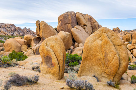 Rock formations wind through Split Rock Trail within the desert landscape of Joshua Tree National...