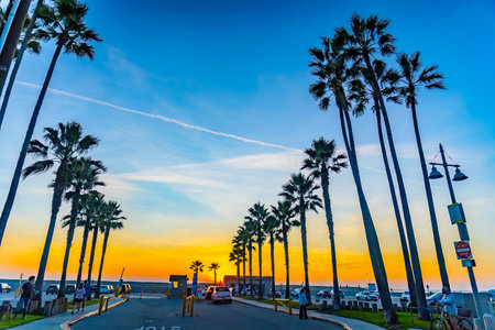 Los Angeles, CA, USA - December 01, 2025: Intense sunset colors glow behind silhouetted palm trees...