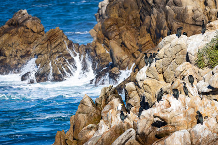 Pacific Ocean waves strike rugged coastal cliffs at Point Lobos State Natural Reserve in California