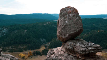 A rock about to fall in forest
