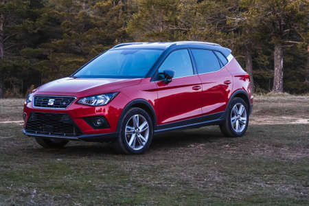 A red car in forestのeditorial素材