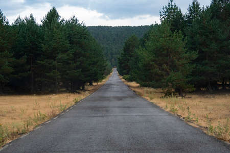 Asphalt road surrounded by nature and blue skyの写真素材