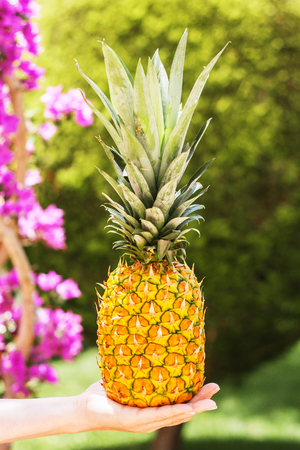 Cocktail Pineapple - Tropical Partyの写真素材