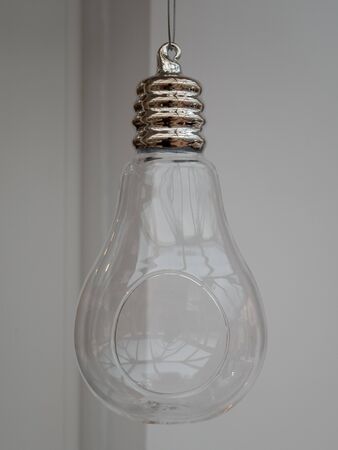 Large glass bulb decorative hanging