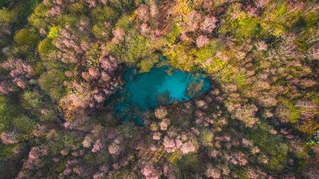 Colourful colorful trees surrounding a small lake with blue water on a sunny dayの写真素材