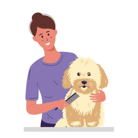 A young woman is combing a little dog with long fur. Taking care of grooming for pets. Vector illustration in flat style.のイラスト素材