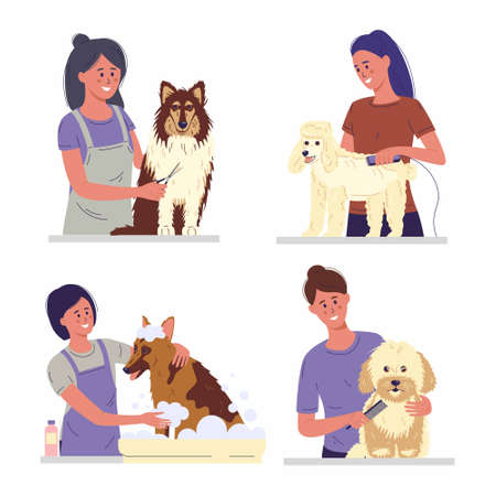 Set of professional barber grooming dog. Woman caring of pet fur - cutting and brushing fur, washing. Vector illustration in cartoon styleのイラスト素材