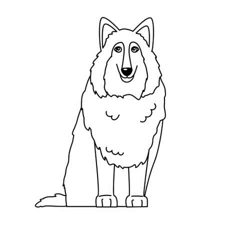 Collie dog coloring page. Outline vector illustration on white backgroundのイラスト素材