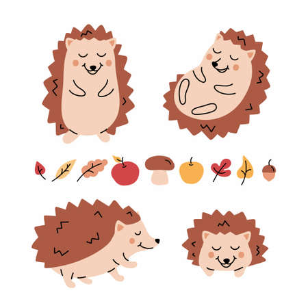 Vector set of cartoon funny brown hedgehogs with apples, mashrooms, autumn leaves. Cute illustration Isolated on a white background.のイラスト素材