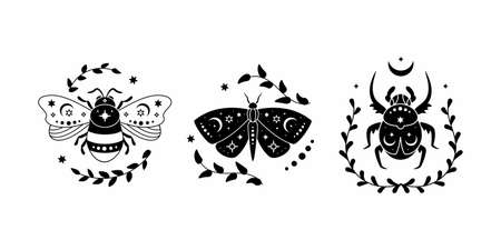 Vector illustration set of celestial butterfly, bee and bug with leaves. Black silhouette of magic insect, esoteric symbol, mystical composition.のイラスト素材