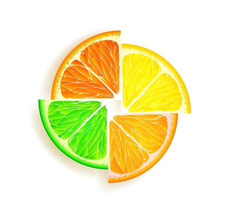 Vector slices of citrus fruitsのイラスト素材