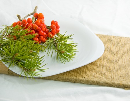 rowan berry and pine lie on a white plateの写真素材