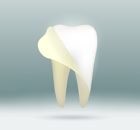 Vector image white human toothのイラスト素材