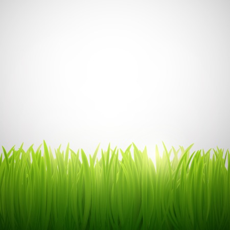 natural background of grass on white backgroundのイラスト素材