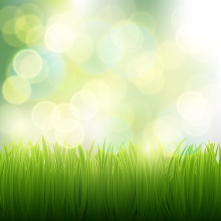 natural background of grassのイラスト素材