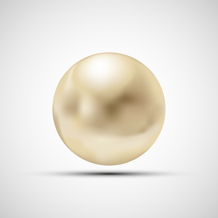 Pearl isolated on a white background. Vector image.のイラスト素材