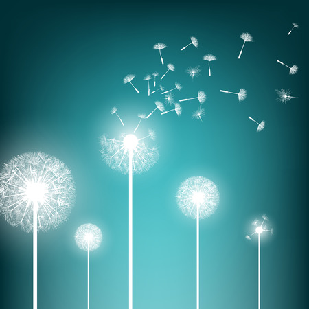 Abstract natural background. Glowing dandelion. Stock Vector.のイラスト素材