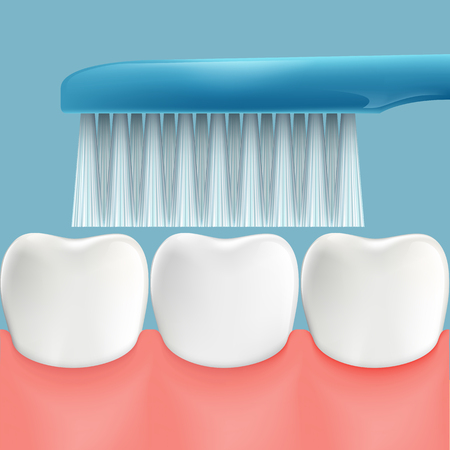 Human teeth and toothbrush. Oral hygiene. Stock  illustration.のイラスト素材