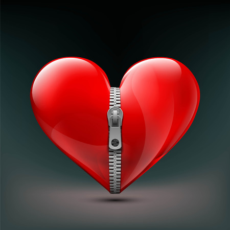 Realistic icon of human red heart with zipper. Stock vector illustration.のイラスト素材