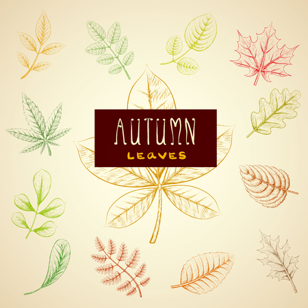 Hand drawn sketch of plants Stock vector illustration.のイラスト素材