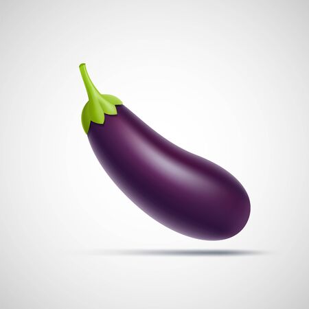 Eggplant icon isolated on a white background. Ripe juicy vegetable. Vector illustration.のイラスト素材
