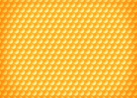 Pattern of yellow honeycombs with honey. Texture of the food. Vector backgroundのイラスト素材