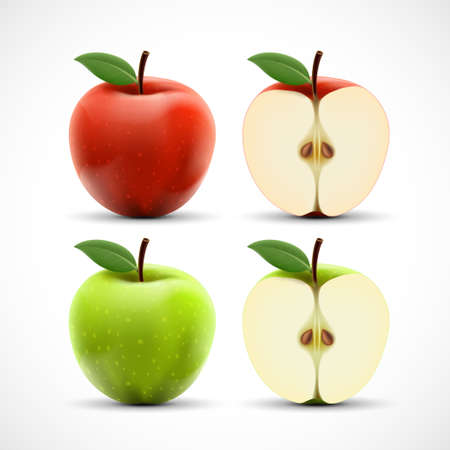 Red and green apples isolated on white background. Cut ripe fruit.のイラスト素材