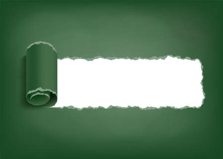 Torn strip sheet of paper with a curled edge. Back to school. Template for copy space. Vector background.のイラスト素材