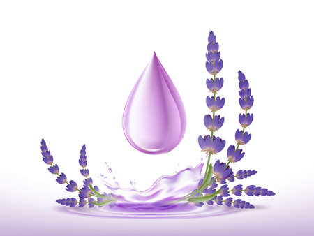 Drop of lavender essential oil with flowers.Vector illustrationのイラスト素材