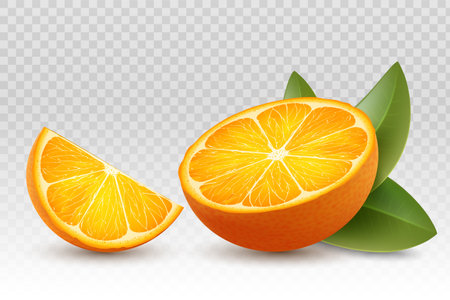 Ripe slices of oranges with green leaves. Isolated on a transparent background. Stock vector illustrationのイラスト素材