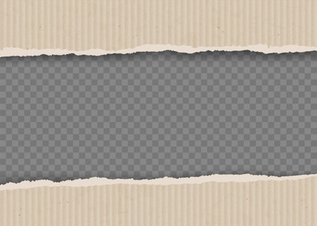Cardboard sheet with torn edges. Isolated on transparent background. Blank paper background. Vector template.のイラスト素材
