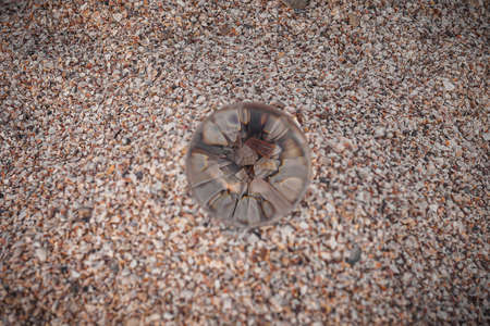 glass optical ball on the sandy azure coast of the sea