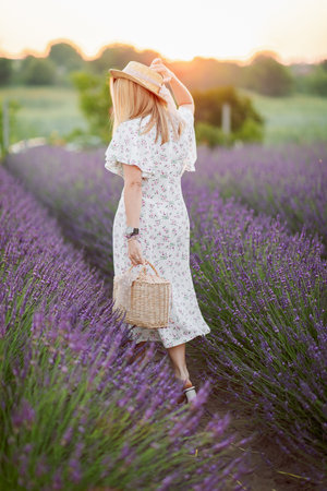 huge lavender field of beautiful flowers in Ukraineの写真素材