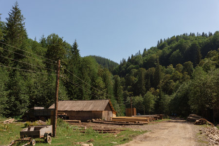 Ukraine Carpathians mountain forest river sun clouds beauty. High quality photoの写真素材