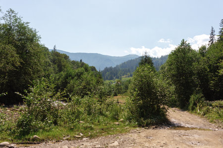 Ukraine Carpathians mountain forest river sun clouds beauty. High quality photoの写真素材
