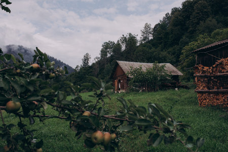Morning foggy clouds in autumn mountain countryside. Ukraine, Transcarpathia. High quality photoの写真素材