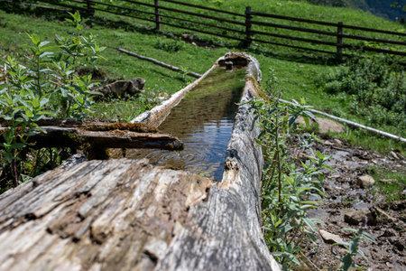 Mysticism and mystery of the Ukrainian Carpathian forest. High quality photoの写真素材