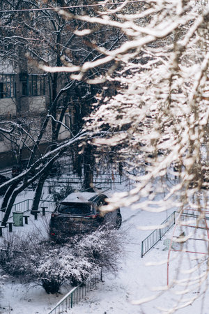Beautiful view of city street with trees on winter dayの写真素材