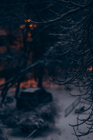 Reykjavik, the capital city of Iceland, at winter in nightの写真素材
