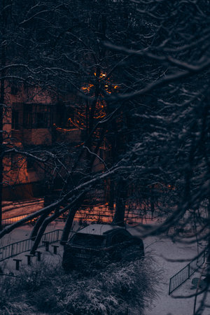 Reykjavik, the capital city of Iceland, at winter in nightの写真素材