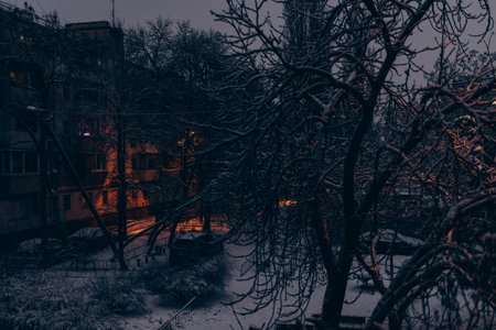 Reykjavik, the capital city of Iceland, at winter in nightの写真素材