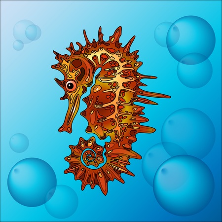A vector seahorse for illustrationのイラスト素材