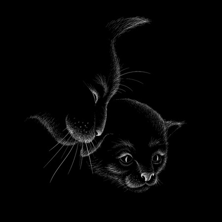 The cat illustration
 for T-shirt design or outwear. Hunting style cat background.のイラスト素材