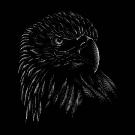 The eagle illustration for T-shirt design or outwear. Hunting style eagle background.のイラスト素材