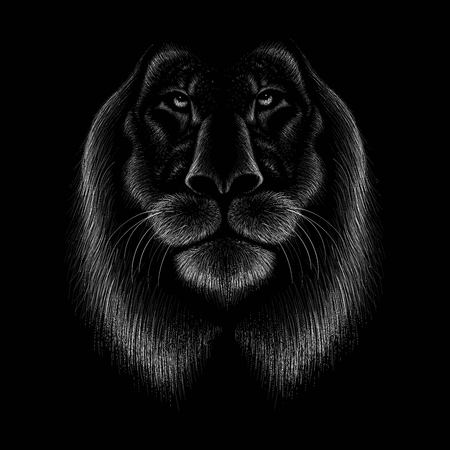 The cat illustration for T-shirt design or outwear. Hunting style cat background.のイラスト素材